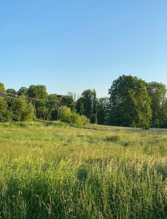 Gospoda Pazibroda Maków Mazowiecki Kültér fotó